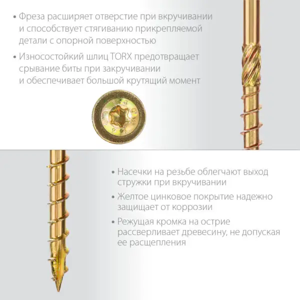 ЗУБР КС-Т, 100 х 8.0 мм, TX40, тарельчатая головка, желтый цинк, 50 шт, конструкционный саморез, Профессионал (30051-80-100) — изображение 3