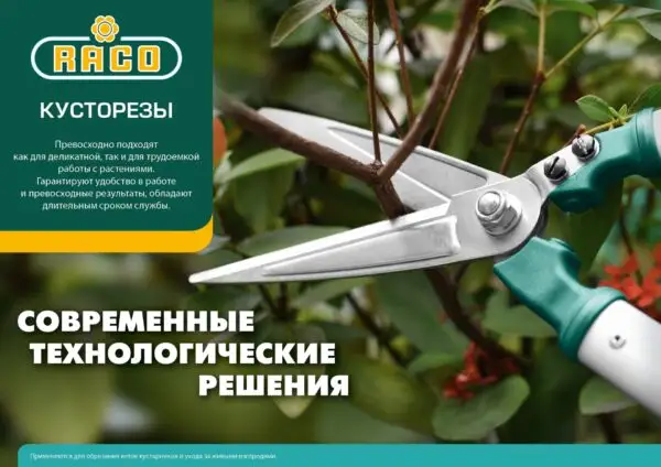 RACO H218, 510 мм, с деревянными рукоятками, кусторез (4210-53/218) — изображение 4